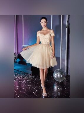 Ladivine Embellished Champagne Tulle Party Dress XS Prom Homecoming